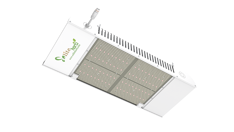 Enlite Horti TL 840W