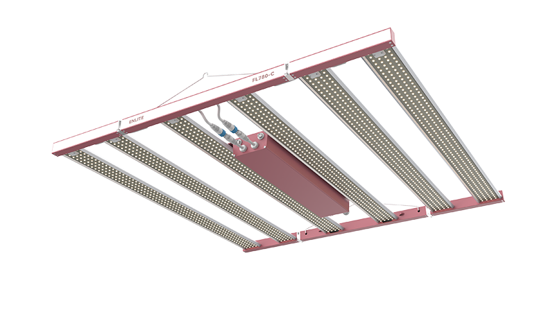 Enlite Horti FLORA 780W