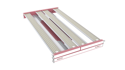 Enlite Horti FLORA 780W