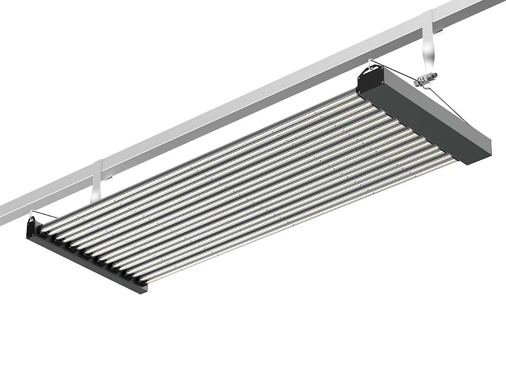 G17 Super High Power Top Lighting