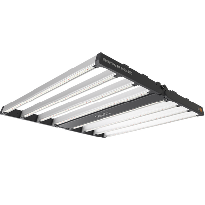 Gavita Pro RS 2400e 780W