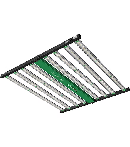 iLuminar HyperMol 1000w