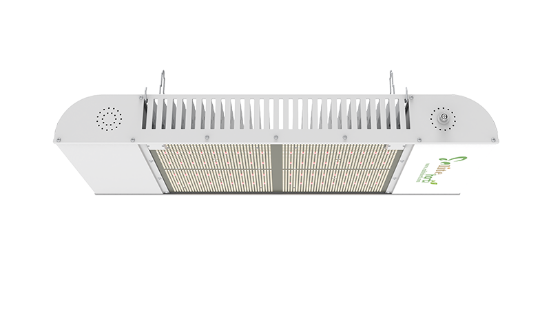 Enlite Horti TL 840W