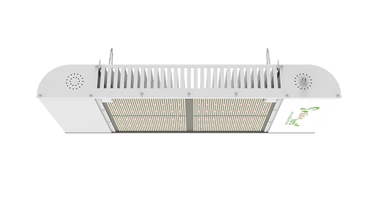 Enlite Horti TL 840W