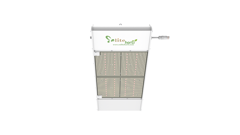 Enlite Horti TL 840W